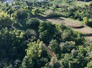 0 Ceiba Ward, Cidra, PR 00739