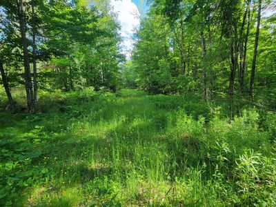 On Hunting River Rd, Elcho, WI, 54428