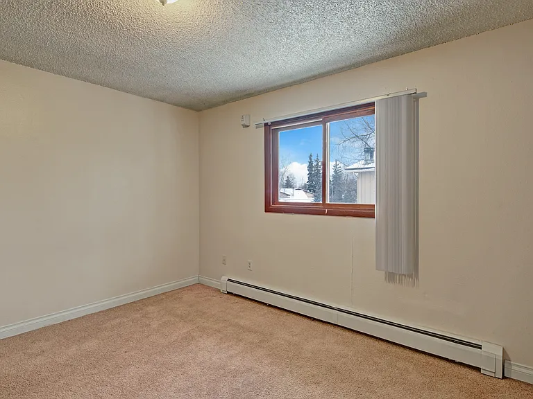 Conifer Grove — Photo 12