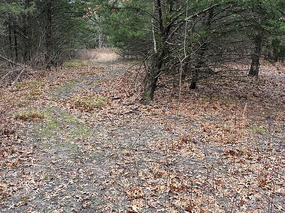 2nd image of 23 County Road 2950