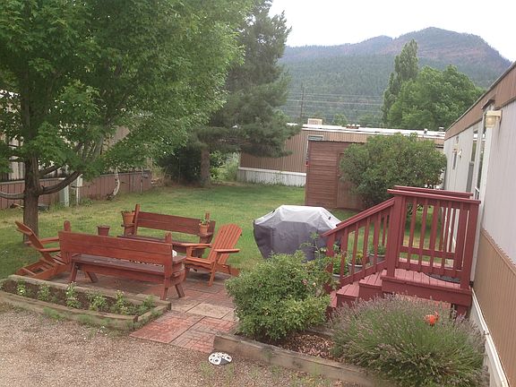 Autumn blaze maple tree!