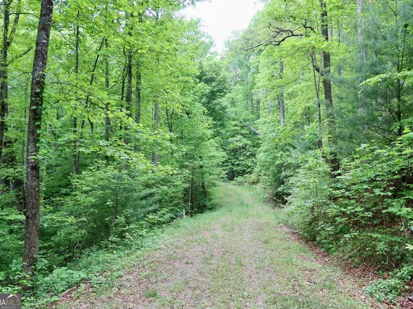 0 Bluff Mtn, Dillard, GA 30537