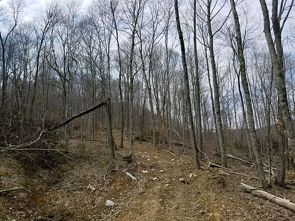 5th image of 9974 Northcutts Cove Rd