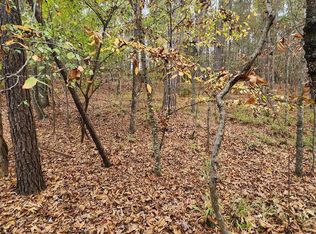 133 Piedmont Lake Rd, Pine Mountain, GA 31822