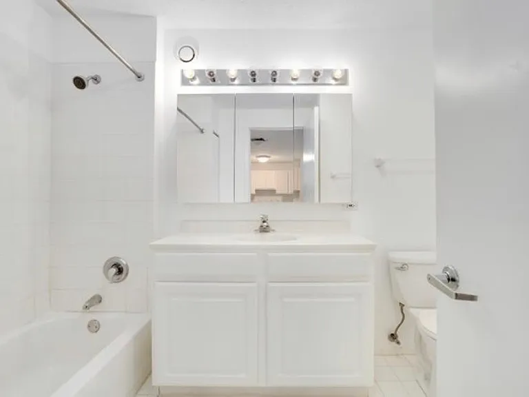 545 N Dearborn St #1903 — Photo 5