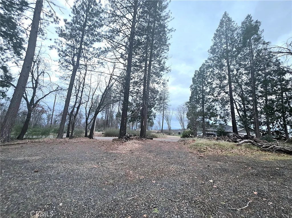 13534 W Park Dr photo 1