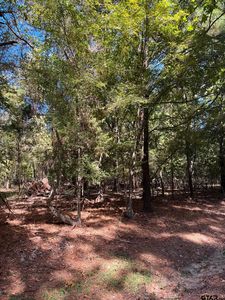 7 Whipporwill Ln, Mount Vernon, TX, 75457