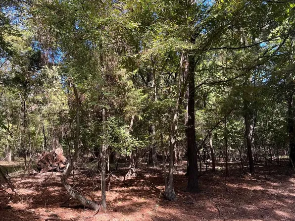 7 Whipporwill Ln, Mount Vernon, TX 75457