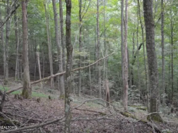 W Ln, Gainesboro, TN 38562