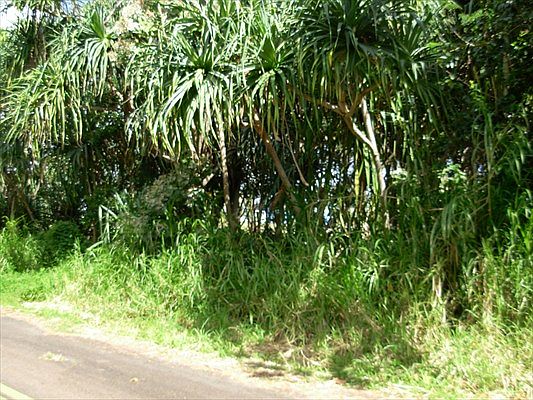 2nd image of W Pohakupele Loop