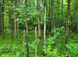 W Carnahan Dr, Baldwin, MI 49304