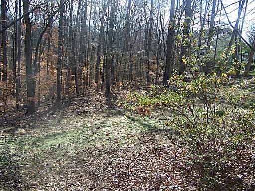 5th image of 1921 Amber Dawn Way