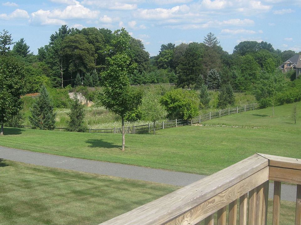 deck view