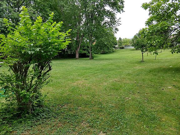 Expansive back yard for play