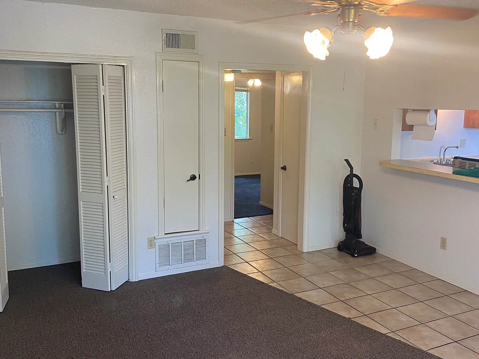 114 Lady Bird Ln — Photo 4