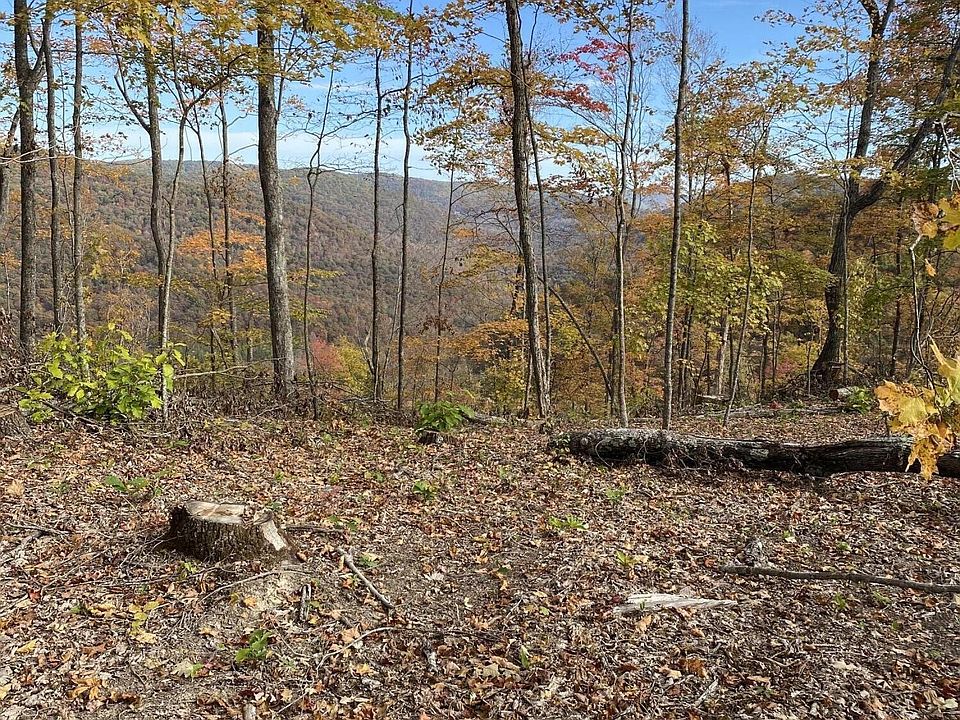 1st image of 0 Capuchin Creek Rd