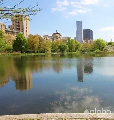 Rented by Alpha Properties NYC I LLC | media 8