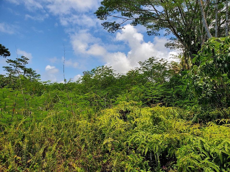 1st image of Kahakai Blvd Lot 394