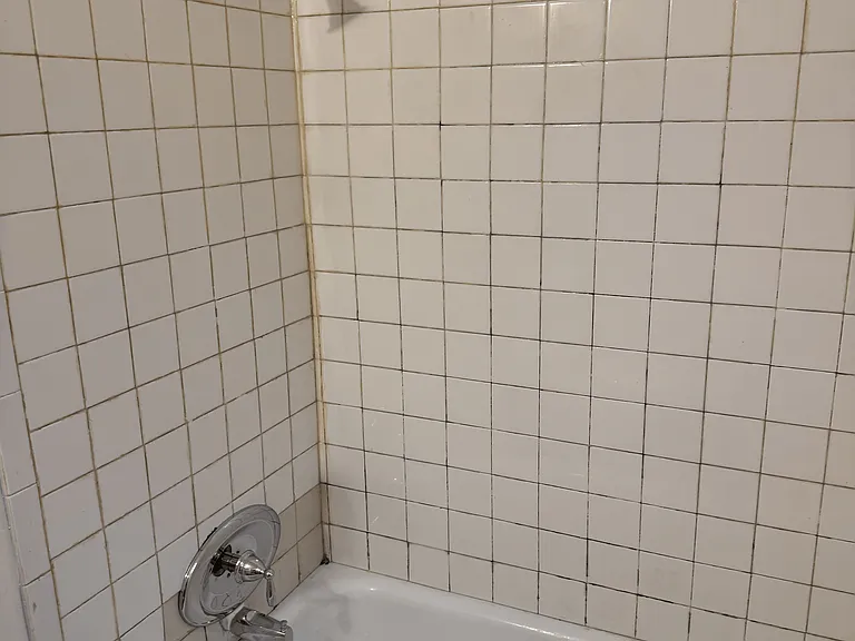 3955 S State St #8 — Photo 9