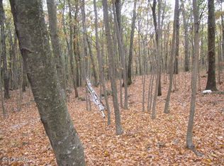 133 Shohola Ln, Shohola, PA 18458