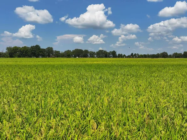 (undisclosed Address), Brinkley, AR 72021