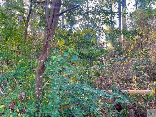 4793 Cr, Atlanta, TX 75551