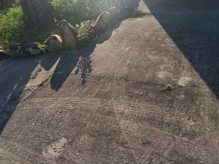 Riveredge Dr — Photo 21