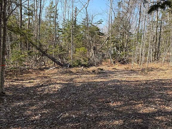 2nd image of LOT Alma Rd #A