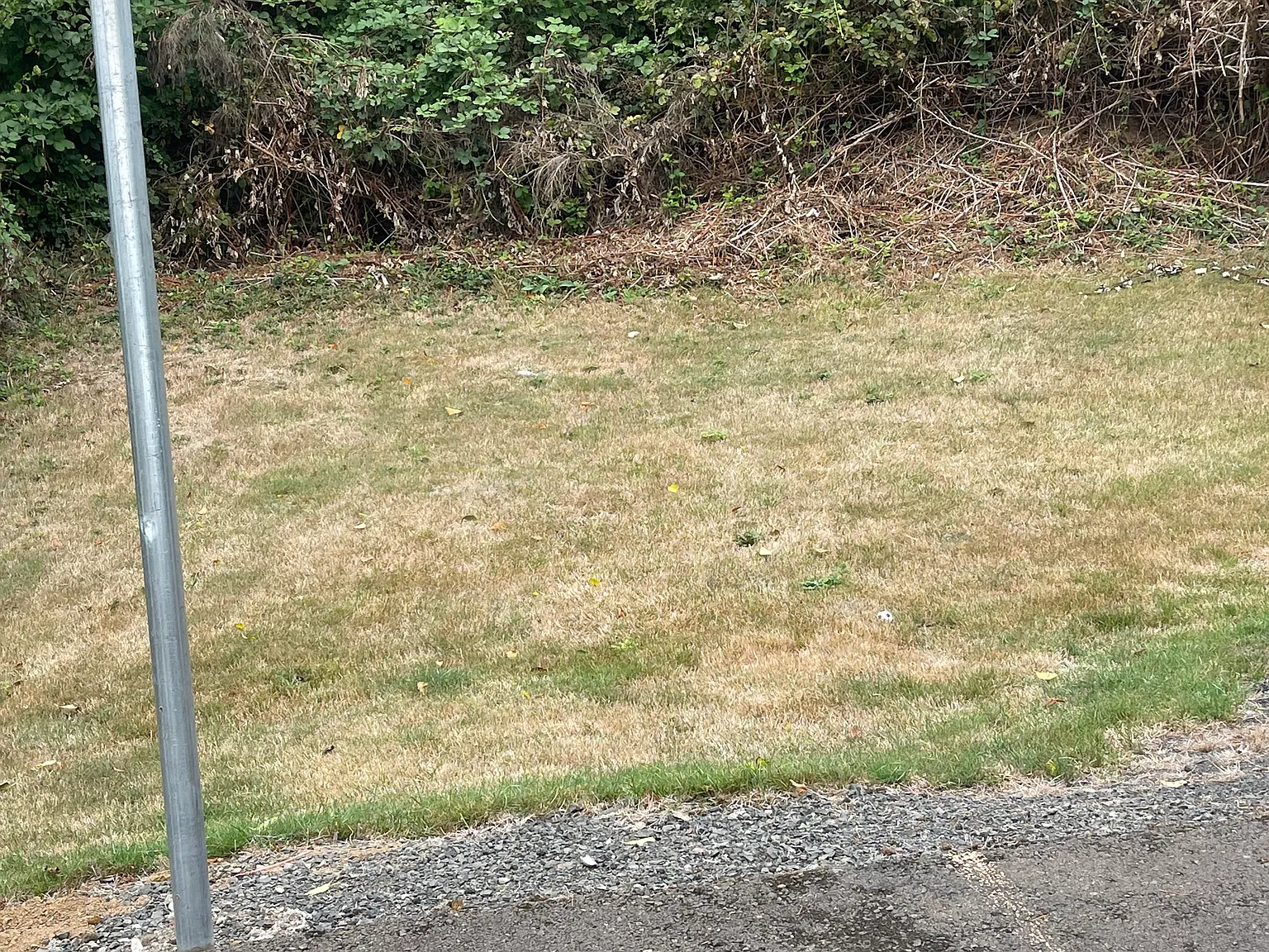 2 bed, 980 sqft, $1,550 — Photo 2