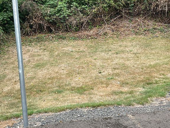 Small side yard