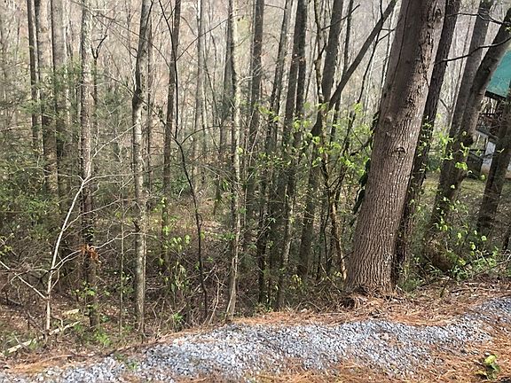 4th image of 28 Wildcat Ridge Rd Lot 28