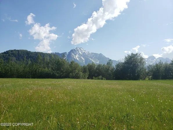 15190 E Nina Rd, Palmer, AK 99645