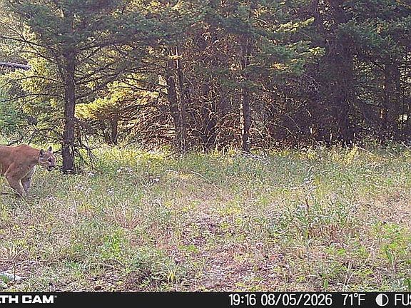 4th image of Logging Creek Rd