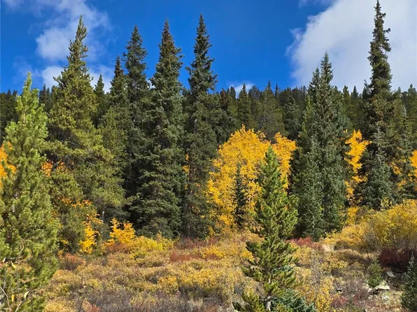 5347 Monitor Lode Claims, Leadville, CO 80461