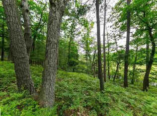 6233 S Glen Lake Rd LOT 4, Glen Arbor, MI 49636
