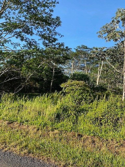 2nd image of 12th Avenue Koali Lot 635