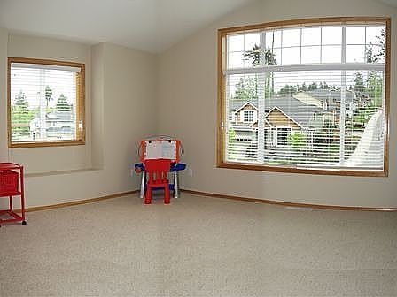 Large bonus room with vaulted ceiling