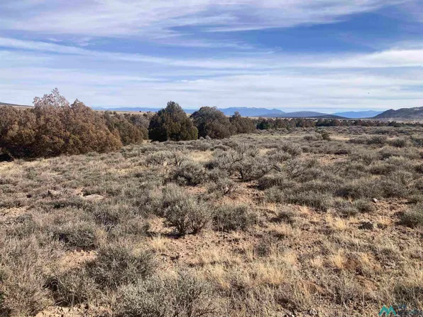 Highway 285 S 29n #4-T-R09E, Tres Piedras, NM 87577