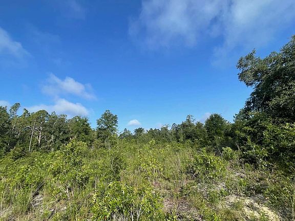 4th image of Tbd 103rd Dr