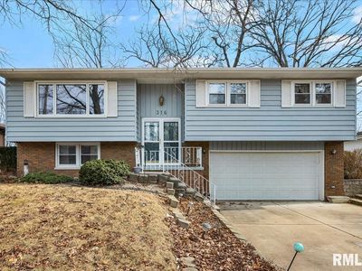 316 Rainbow Dr, Creve Coeur, IL, 61610
