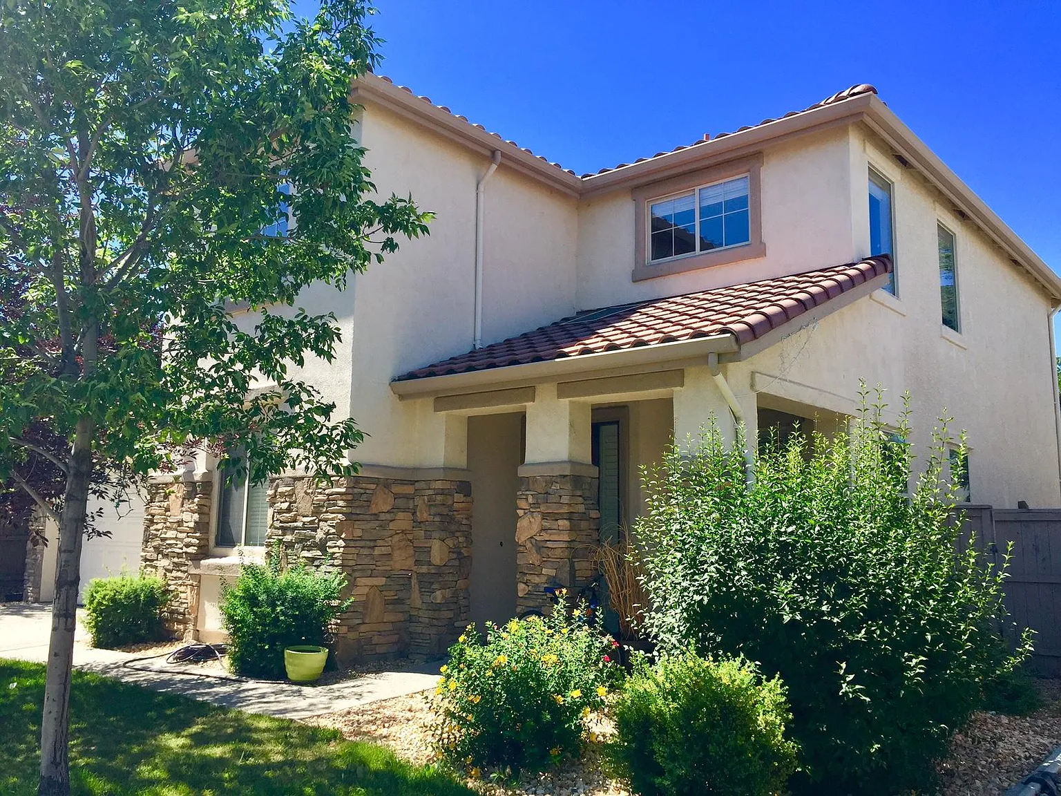 2470 Spring Flower Dr — Photo 2