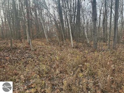W Shore Dr Lot 122, Weidman, MI, 48893
