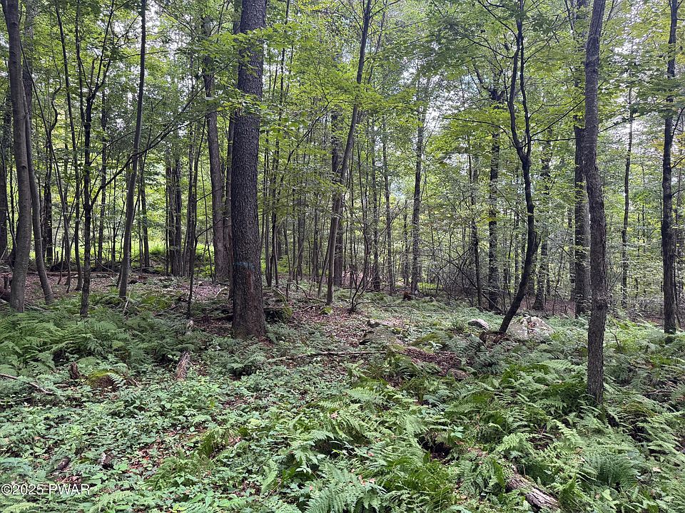 1st image of Racht Rd