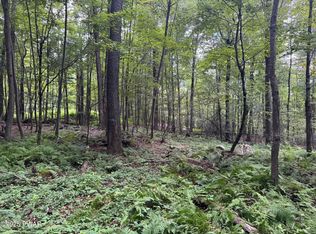 Racht Rd, Honesdale, PA 18431