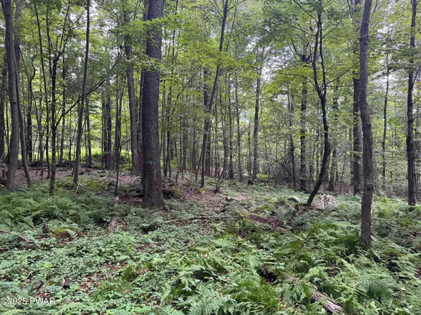 Racht Rd, Honesdale, PA 18431