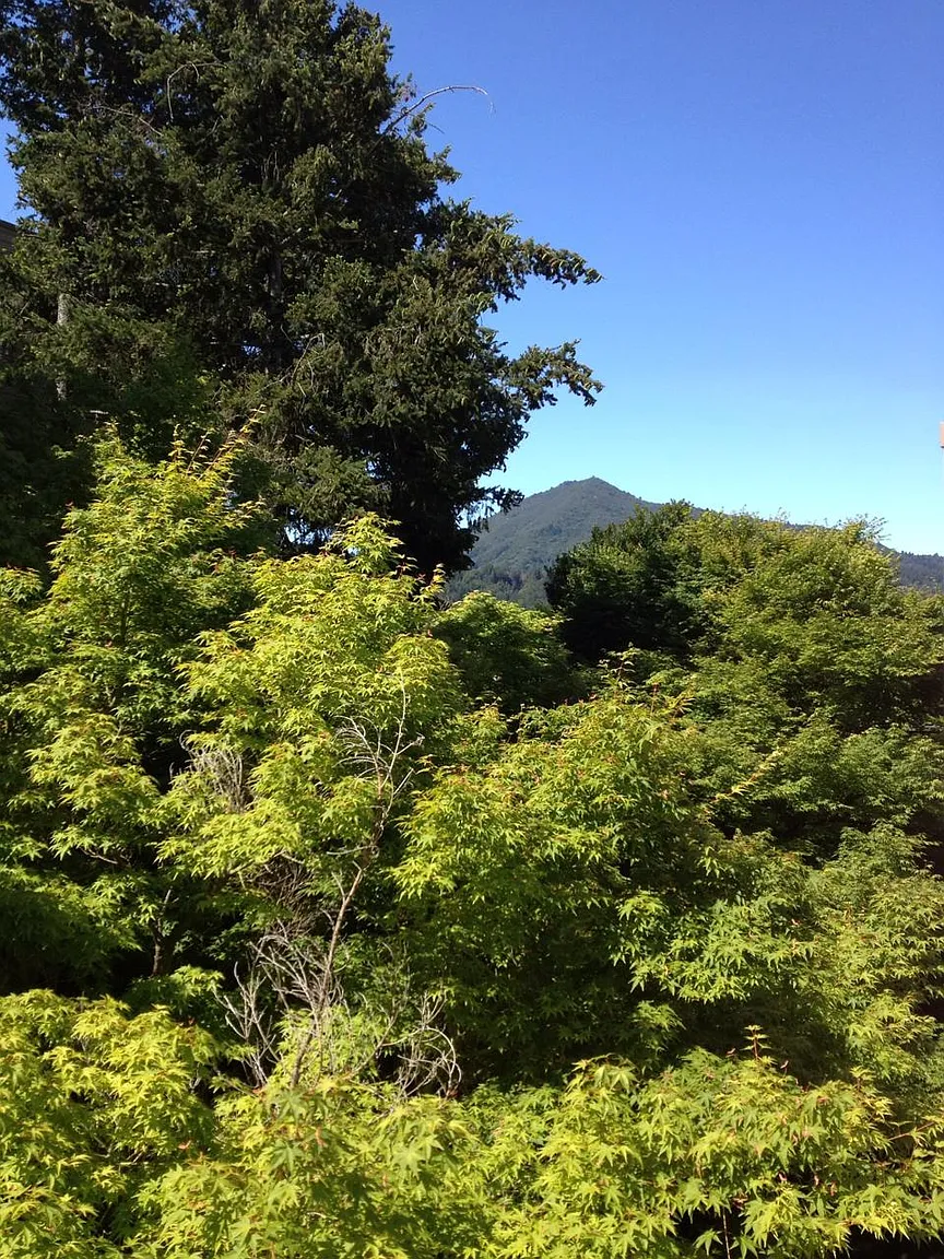 645 Via Casitas photo 1