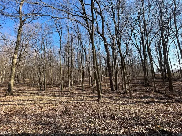 V/l Us #42, Ashland, OH 44805