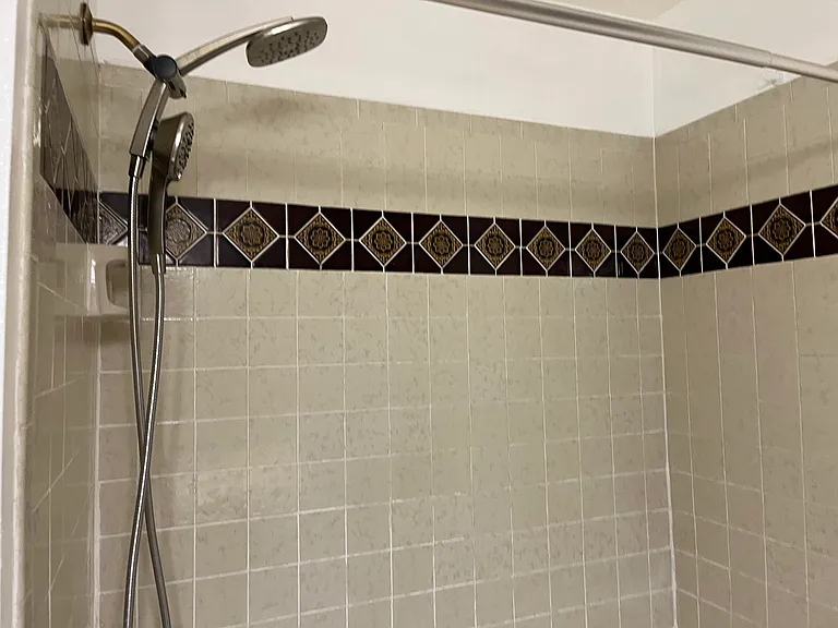 Shower over tub full bath