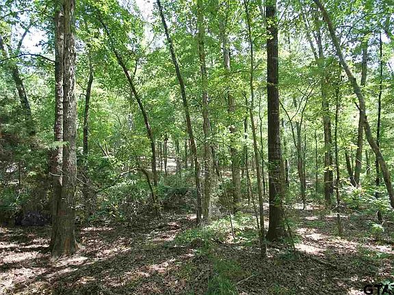 3rd image of LOT 15 County Road 4555