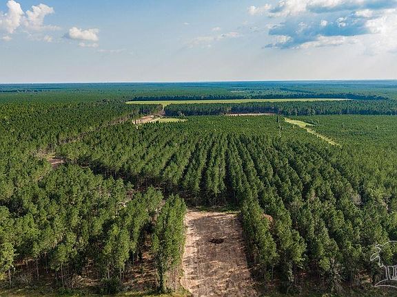 4th image of LOT 92 Posie Forest Rd